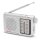 AIWA RS-55 Srebrny - 1376226 - zdjęcie 3